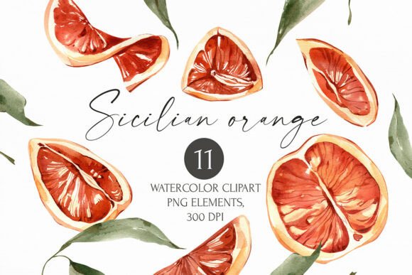 Download Watercolor Sicilian Orange Clipart - Orange Collection